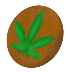 cookie